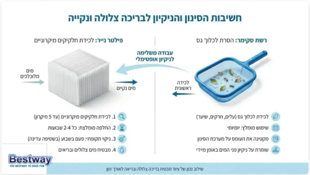 אינפוגרפיקה המציגה את חשיבות הסינון והניקיון לבריכה צלולה – רשת סקימר ללכלוך גס ופילטר נייר לחלקיקים מיקרוניים